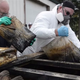 Image for article titled The 100 Most Popular Gizmodo Posts of 2015
